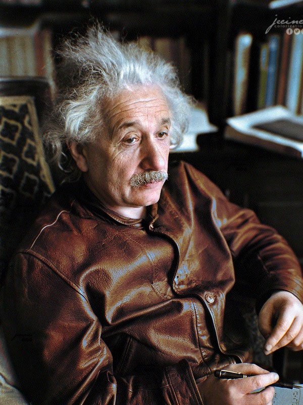 Albert Einstein Brown Jacket - Image 2