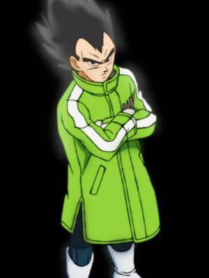 Dragon Ball Super Vegeta Green Jacket